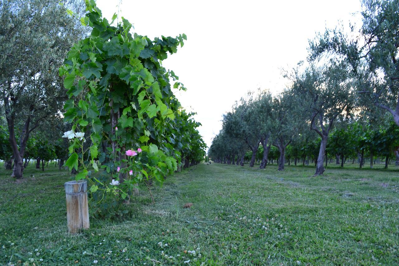 Finca Fisterra มายปู ภายนอก รูปภาพ