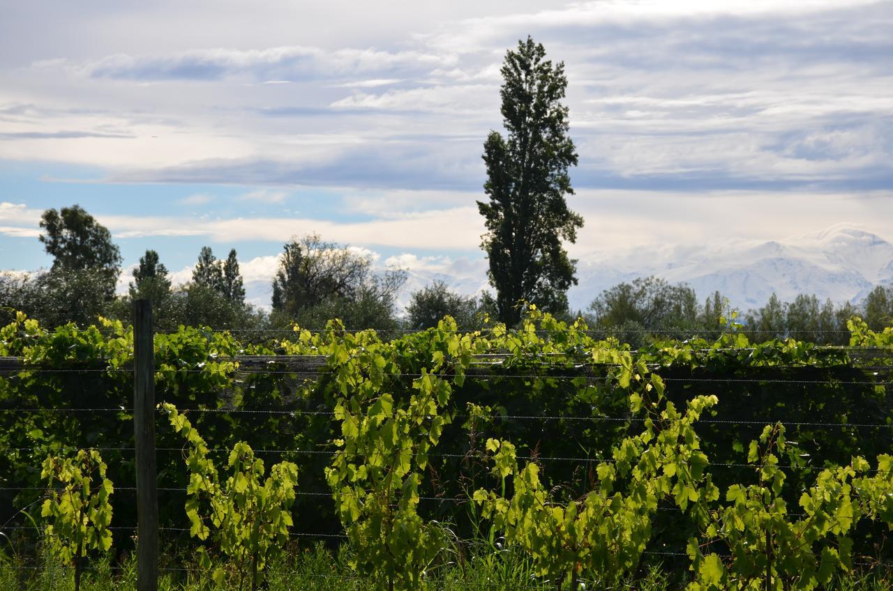 Finca Fisterra มายปู ภายนอก รูปภาพ