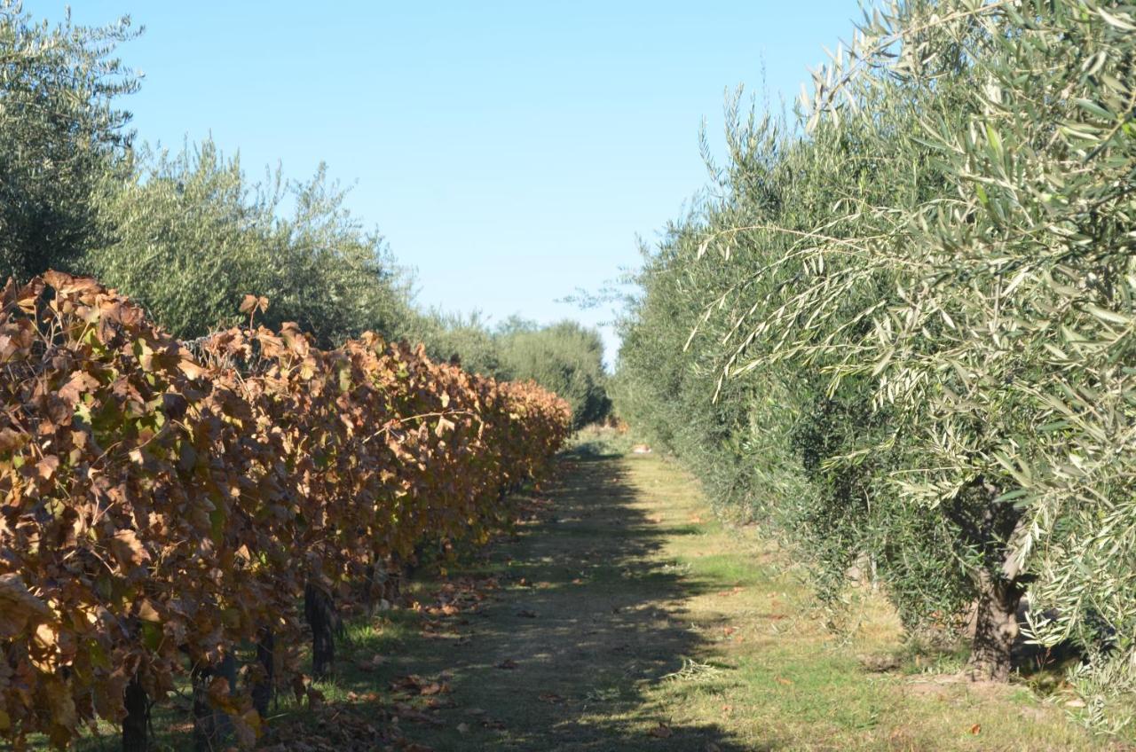 Finca Fisterra มายปู ภายนอก รูปภาพ